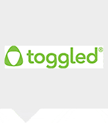 Toggled-featured-image-template